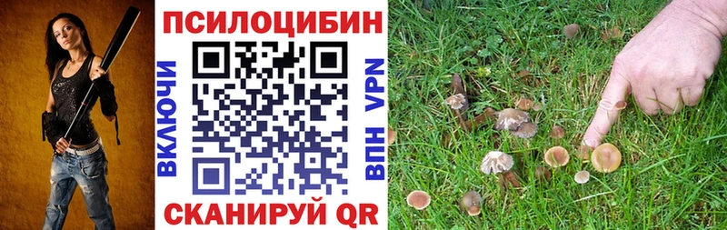 Галлюциногенные грибы Cubensis  KRAKEN зеркало  Анжеро-Судженск  цены  