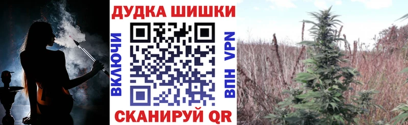Конопля марихуана  купить закладку  мега ссылка  Анжеро-Судженск 